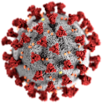 Autoevaluación<br /> Coronavirus - #YoMeTesteoEnCasa